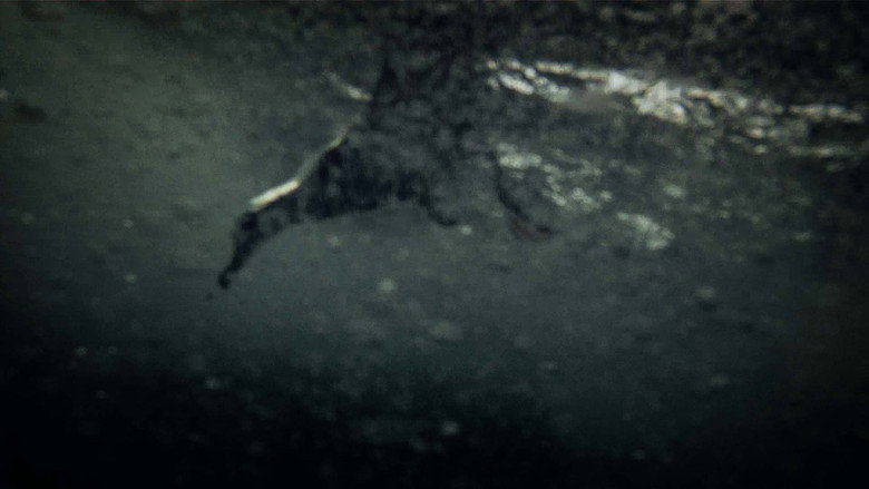 Leviathan still 3