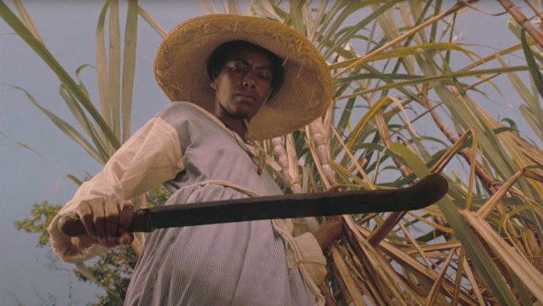 Sankofa still 5