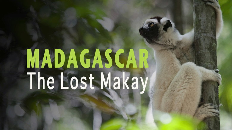 Madagascar: The Lost Makay still 5