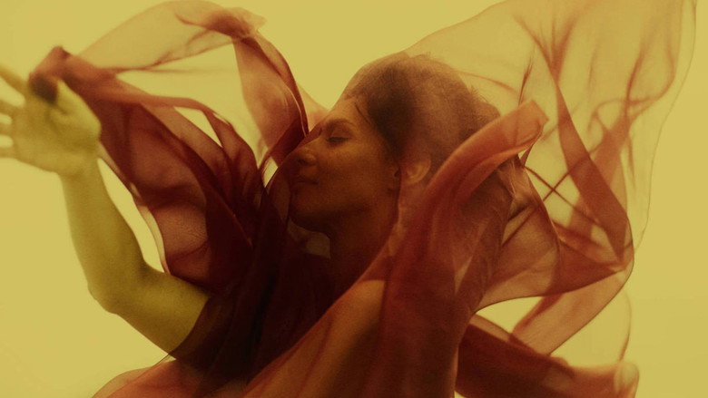 The Passion According to G.H. still 2