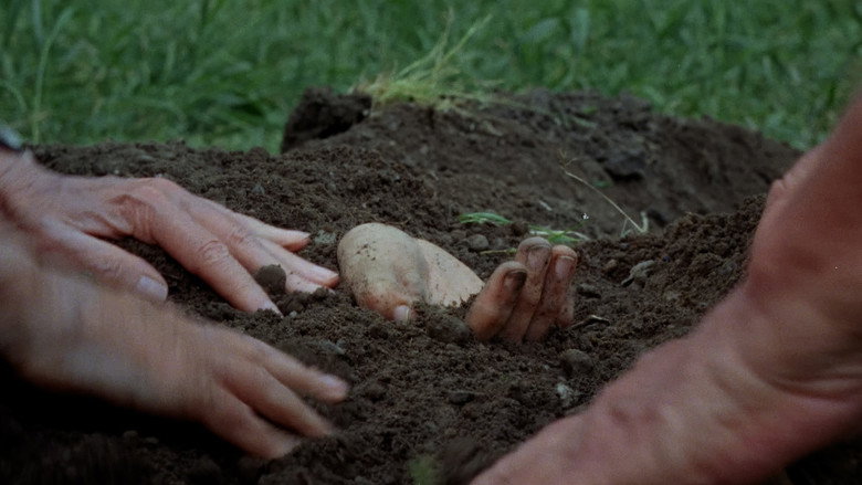 Vestigis still 3