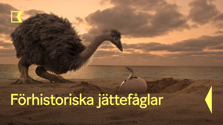 Mystery of the Giant Birds still 3