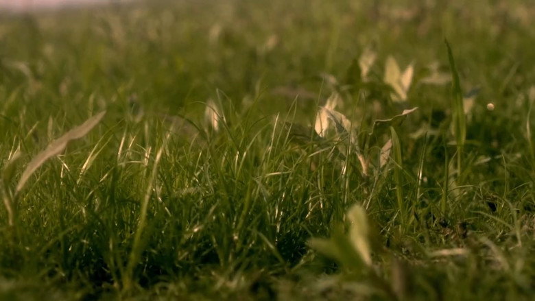 Um Novo Ângulo still 2