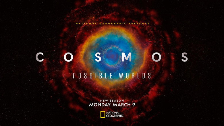 Cosmos still 7