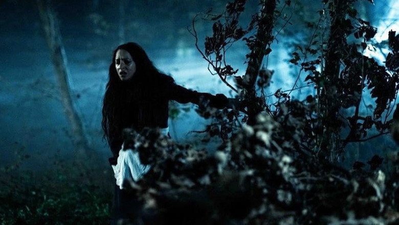 Vindicta still 1