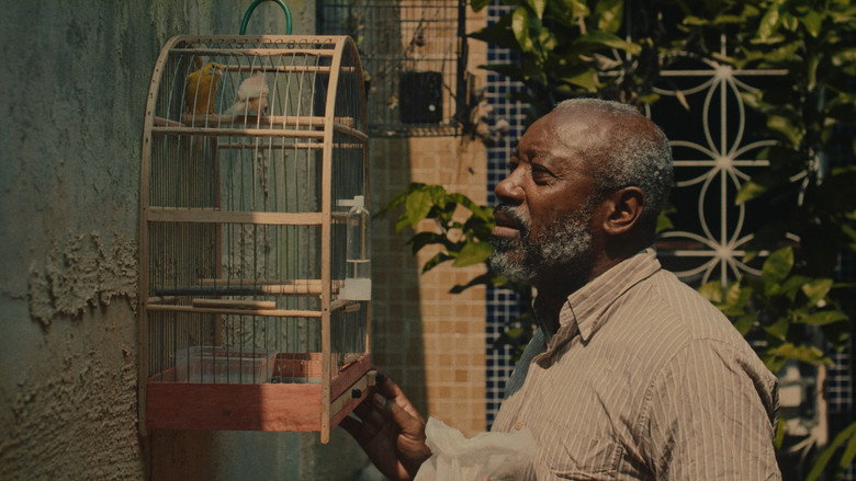 Seco still 5