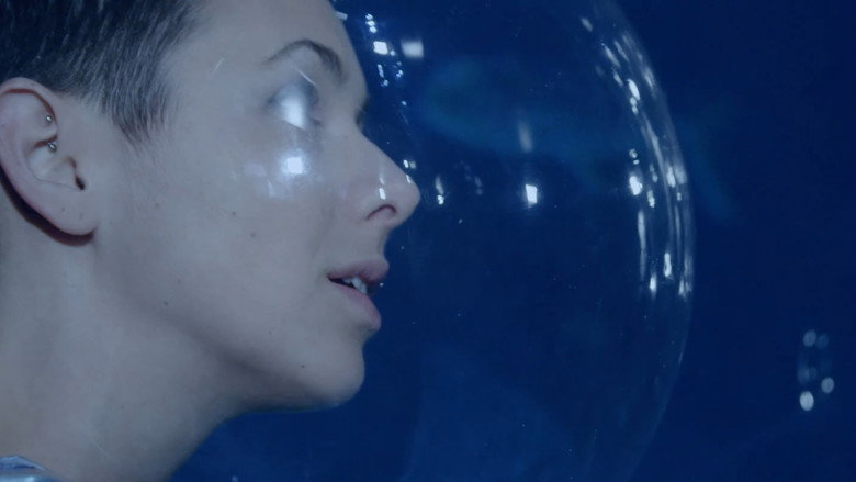 Gill still 4