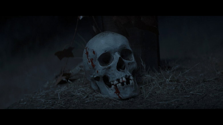 The Christ of the Skull still 1