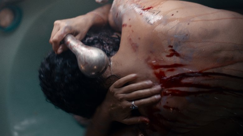 Animale still 3