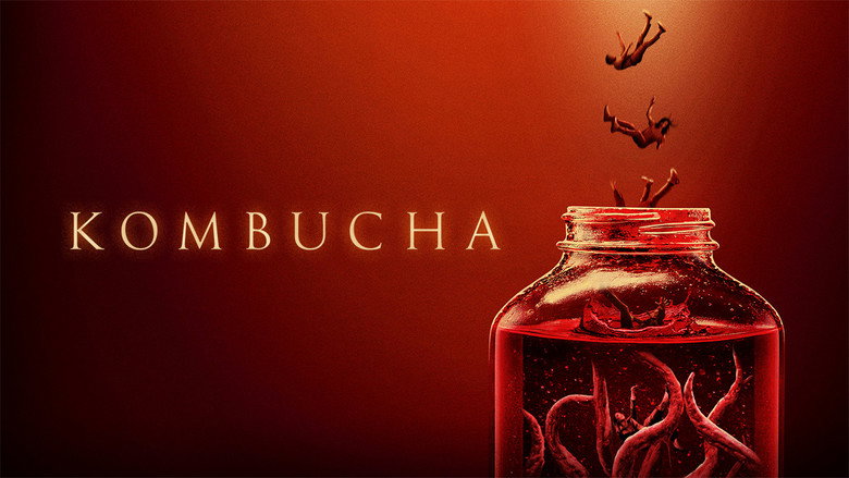 Kombucha still 2