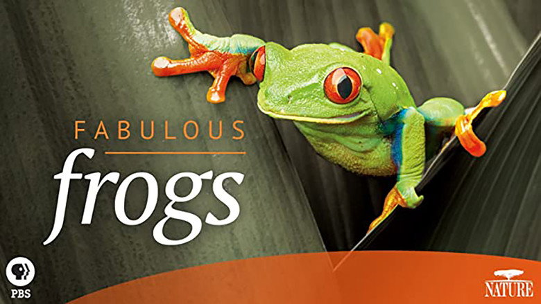 Fabulous Frogs still 2