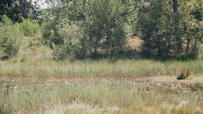 En Plein Air still 1