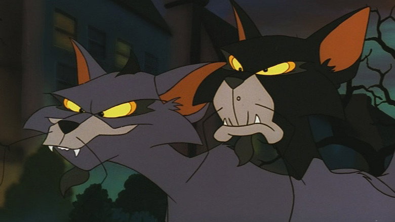 Felidae still 1
