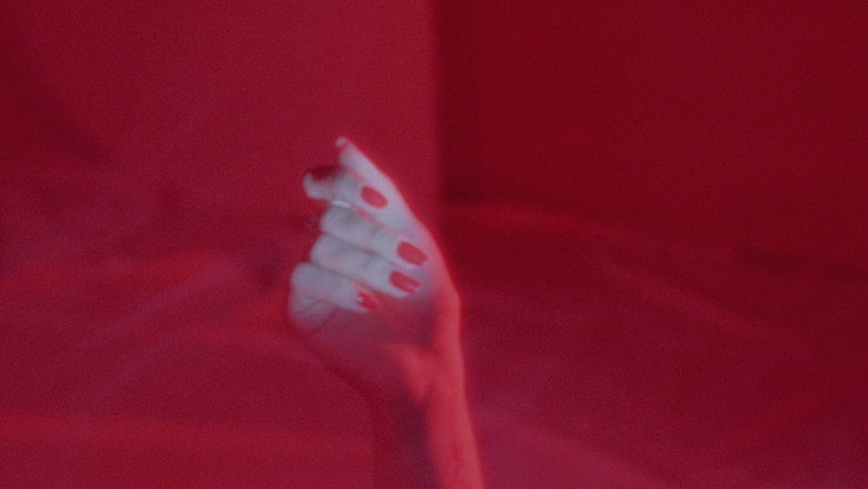 Mi Jardín still 3
