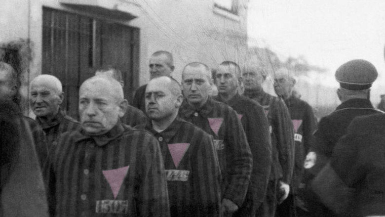 The Pink Triangle and the Nazi Cure for Homosexuality still 1