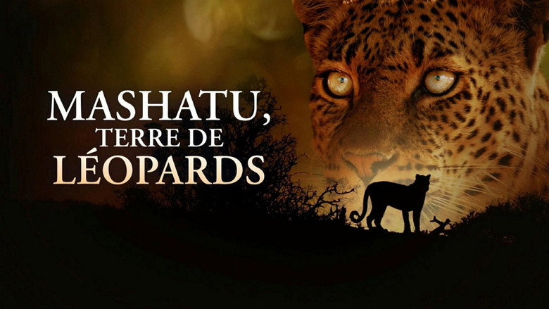 Mashatu: Land of Leopards still 2