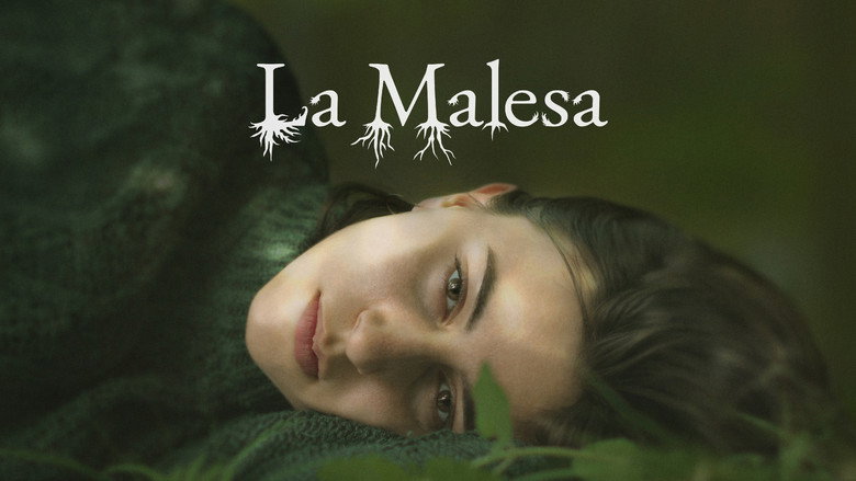 La Malesa still 4