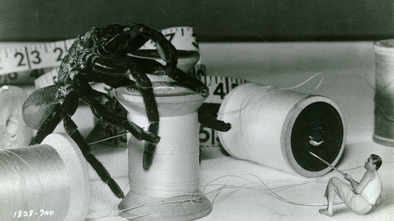The Incredible Shrinking Man still 3