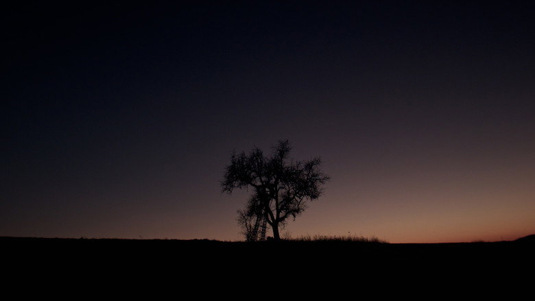 Hymn from the Hive still 7