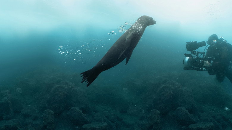 Guardians of the Galapagos still 4