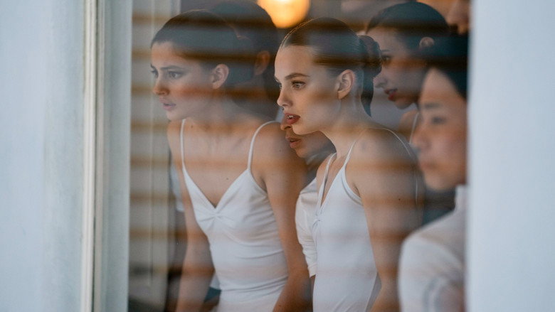 Birds of Paradise still 7