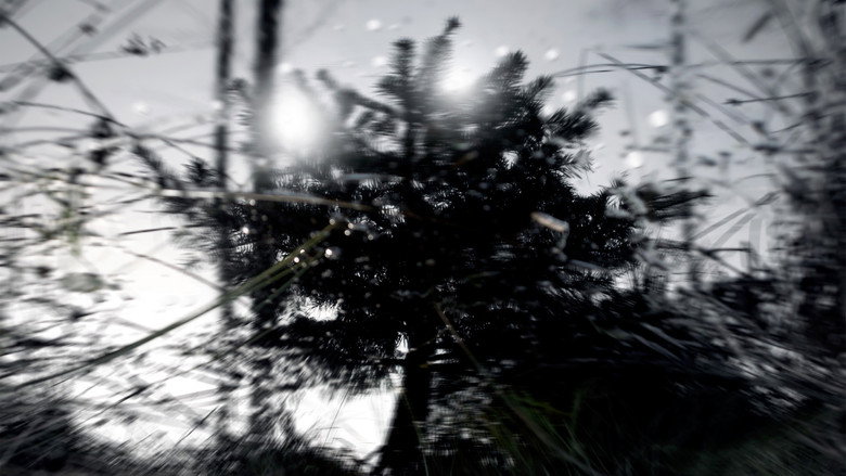 The Fir Tree still 3