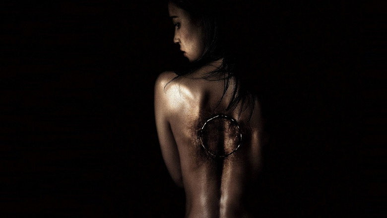 Rings still 7