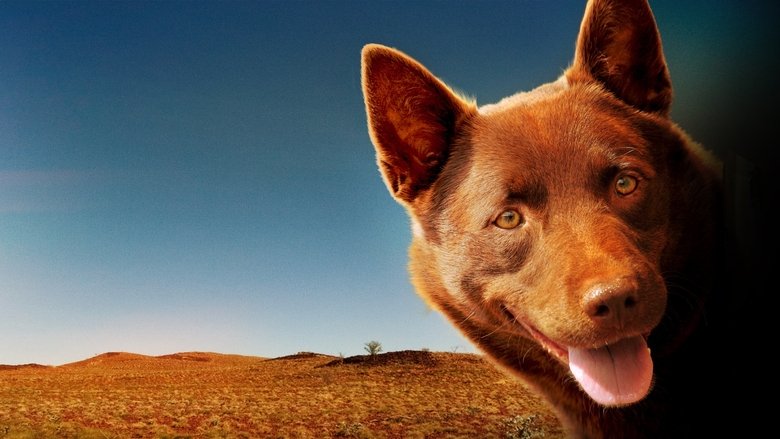 Red Dog still 2