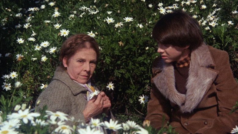 Harold and Maude still 7