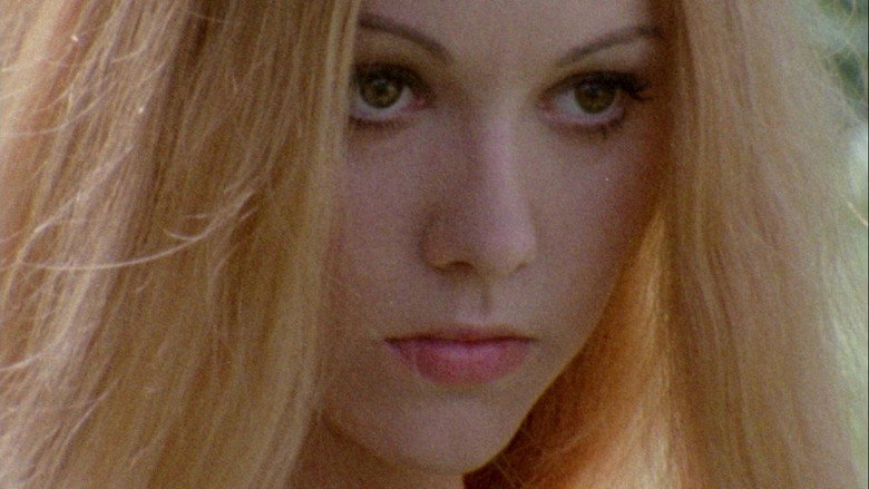 Leptirica still 2