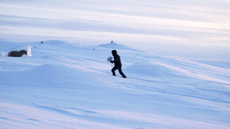 -22.7°C The Far North Musical Experience still 2