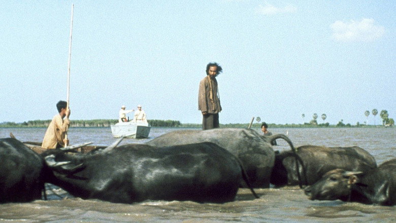 Buffalo Boy still 2
