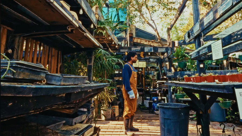 Her Yard still 8