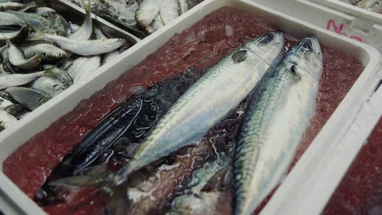 Tsukiji Wonderland still 2