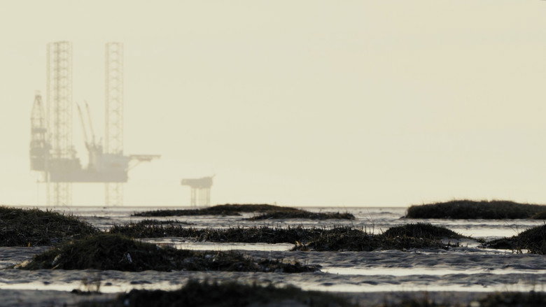 Lands Between still 1