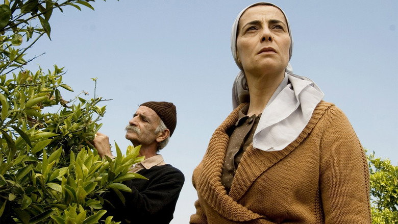 Lemon Tree still 6