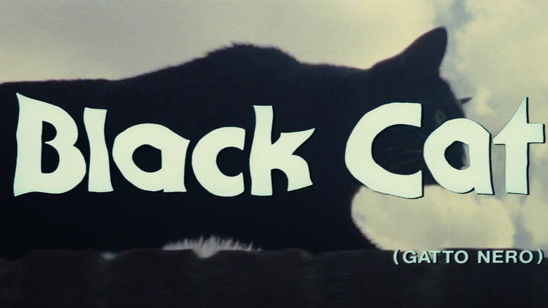 The Black Cat still 7