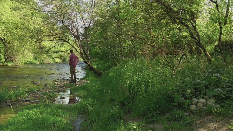 Les herbes still 6