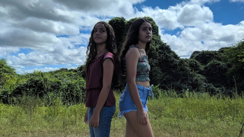 Oiticica do Bode still 1