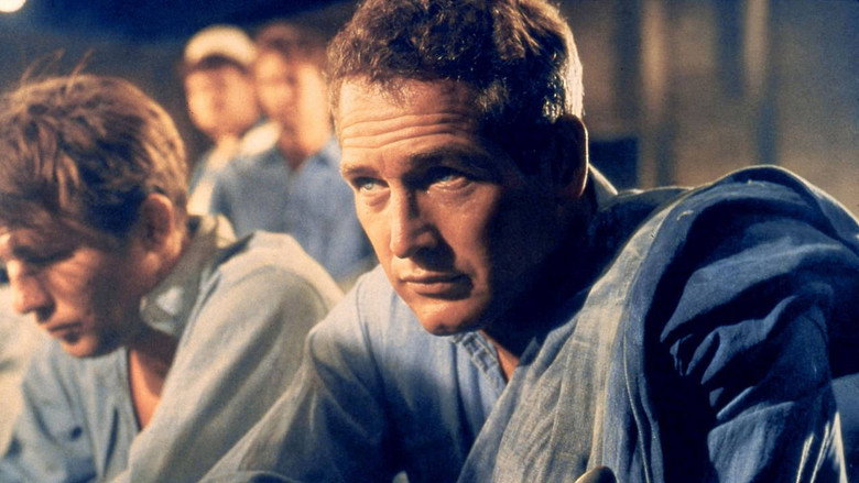 Paul Newman: The Restless still 1