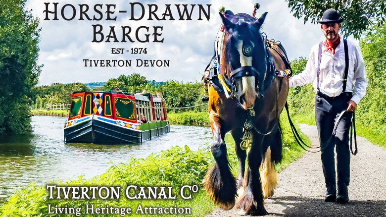 Tiverton Canal Co. 50th Anniversary still 1