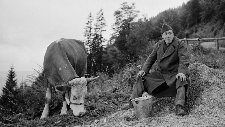 The Cow and I still 1