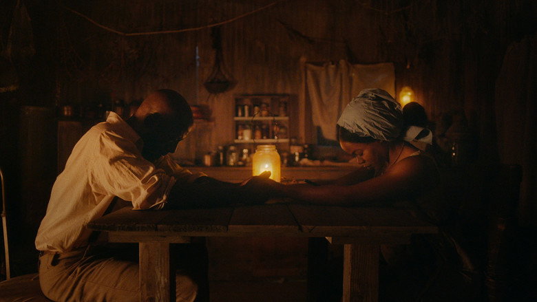 Cabbage still 2
