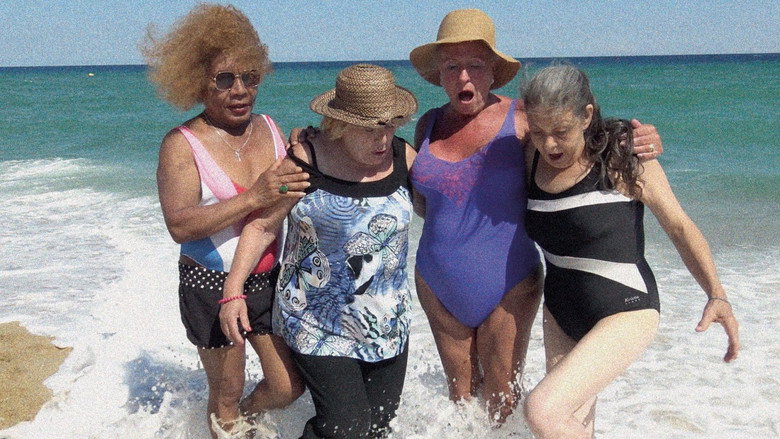 Siemprevivas still 1