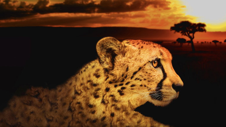 Africa's Deadliest still 3