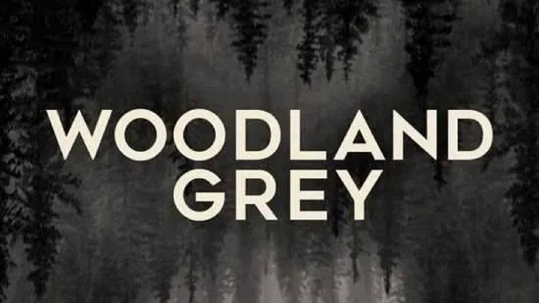 Woodland Grey still 1