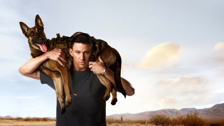 Dog still 7