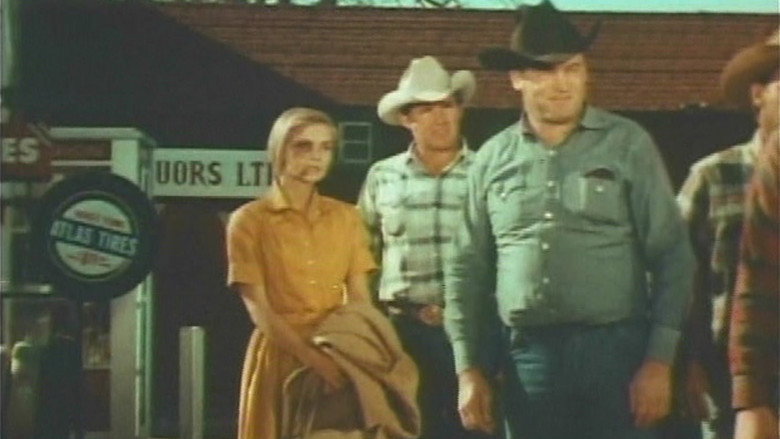 Cotter still 3