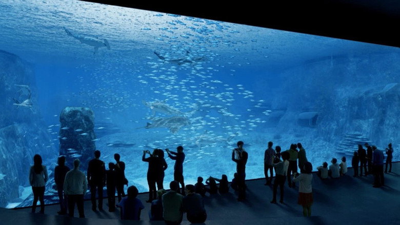 Nausicaa: The Largest Aquarium in Europe still 1