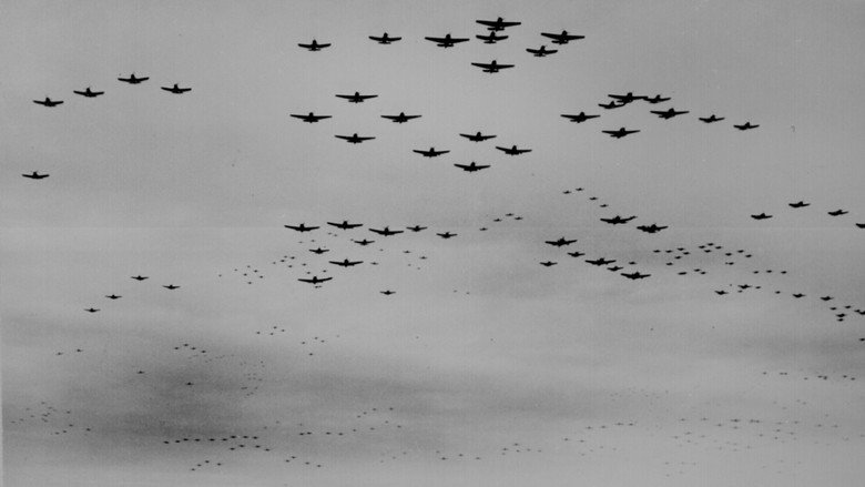 Clash of Wings still 1